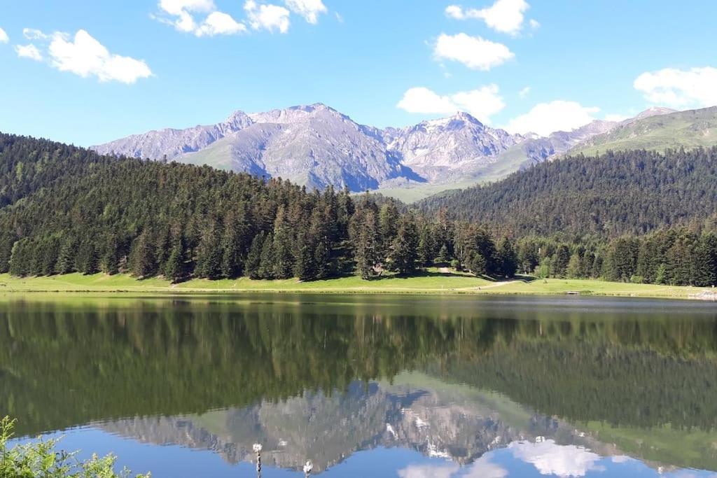 La Cabane Du Cerf A Payolle Campan Εξωτερικό φωτογραφία